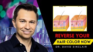 3 Supplements for Gray Hair Reversal :Dr. David Sinclair