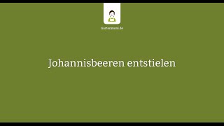 Johannisbeeren entstielen