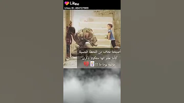 تسجيل خروج كن عزيزا غائبا خير لك بكثير من أن تكون حاضرا ولكن بلا قيمة حمودة 