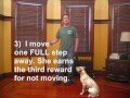 Teach Your Dog to Stay While You Walk Away