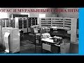 ОГАС И МУРАВЬИНЫЙ СОЦИАЛИЗМ