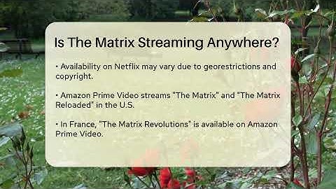 Is The Matrix Streaming Anywhere? - The Action Reel