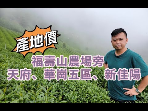 梨山茶｜教你如何泡好茶｜你會拿壺泡茶，只是懂一半而已｜懂茶性，才能真正把茶泡好｜茶葉本身的個性不同，泡茶方式就該不同｜福壽山農場旁、天府、華崗五區、新佳陽 烏龍茶
