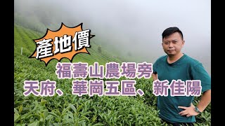 梨山茶｜教你如何泡好茶｜你會拿壺泡茶，只是懂一半而已｜懂 ... 