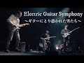 【映画】Electric Guitar Symphony 〜ギターにとり憑かれた男たち〜