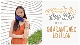 week in the life: online optometry school ✨ clinic, exams, photoshoot + more