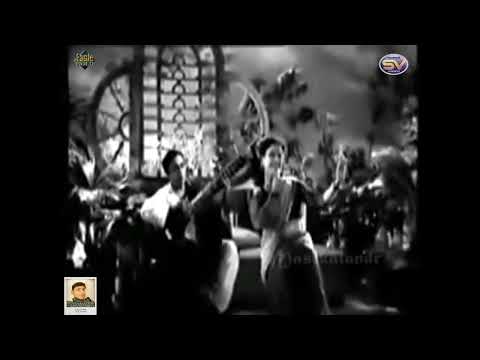 Chanda Ki Chandni Mein Jhoome Jhoome Dil Mera Eagle Jhankar