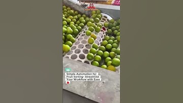 Simple Automation for Fruit Sorting- Streamline Your Workflow with Ease 🍎