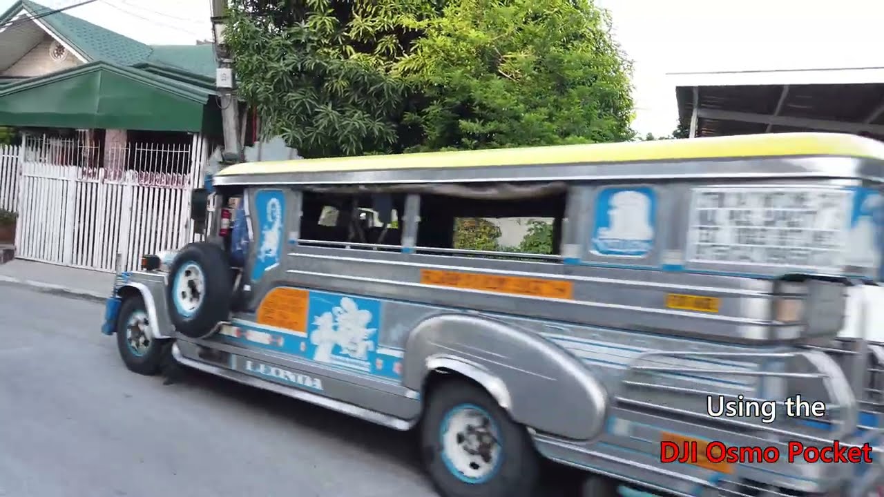 Walking In Gatchalian Subdivision April 22 2022 Las Pinas City walking-in-gatchalian-subdivision-april-22-2022-las-pinas-city