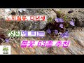 노지 월동, 다년생! 정원에 피는 봄꽃 추천#3~6월에 피는 꽃 63종 Mp3 Song