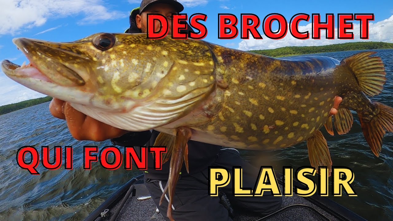 un weekend peche brochet silure biscarosse