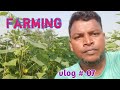 Farming life  bugri baha  biswajit murmu