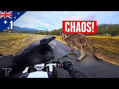 Riding Australia’s Best Roads Went Wrong! 🇦🇺 | Chickenstrips Tour pt1