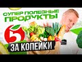 Собираем все, что есть полезного в Пятерочке в одну корзину за минимальный бюджет
