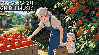 [Beautiful Ghibli Collection] Beautiful Piano Ghibli Melodies, Positive Energy Ghibli Music 🔱 2 Hou