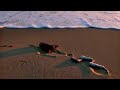 NATURE RELAXING VIDEOS
