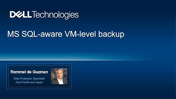 PPDM MS SQL-aware Protection Demo
