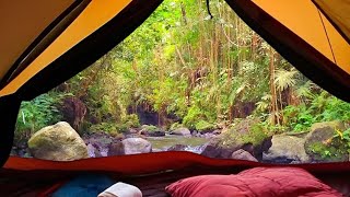 Free your mind- escape stress with the sound of a small stream in the forest - Relax stream Sound