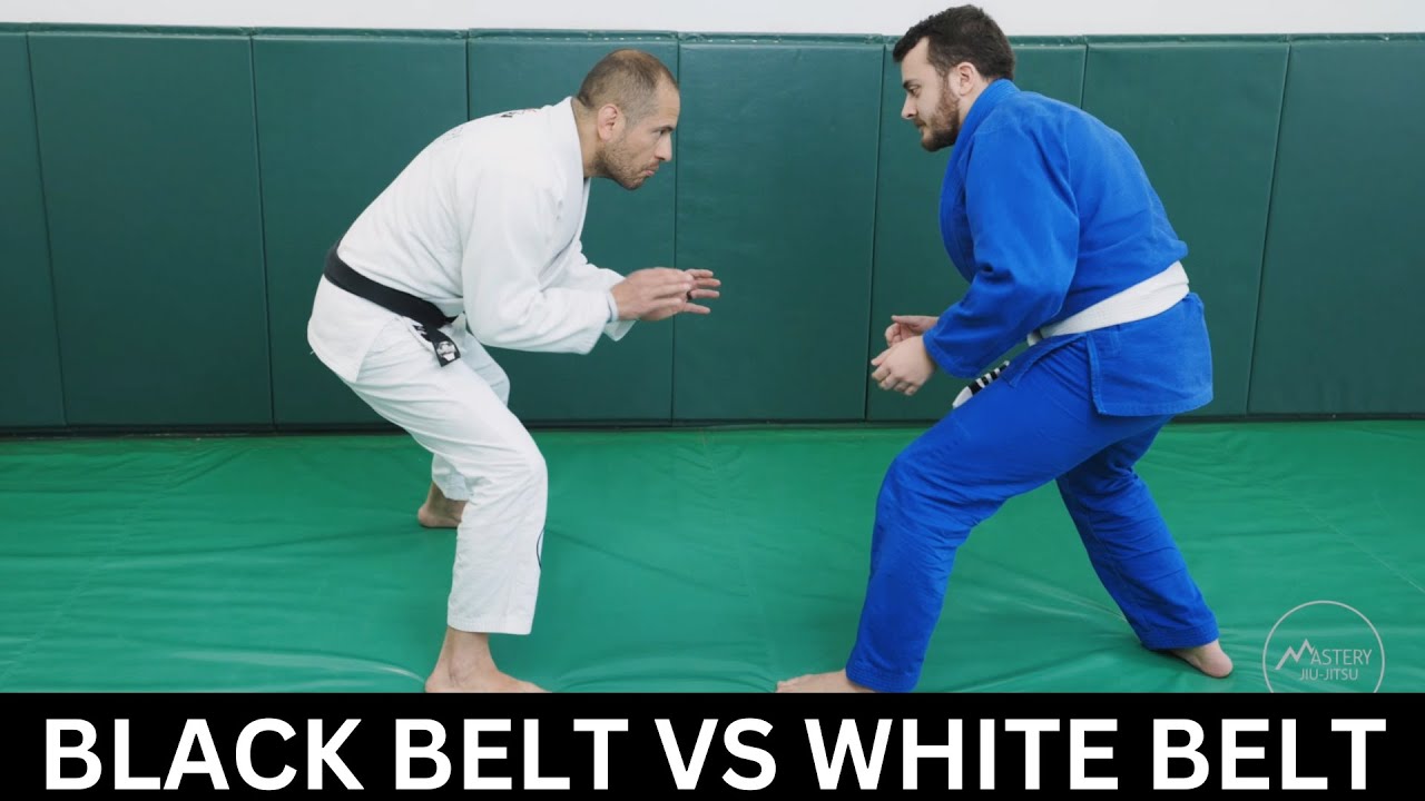 JiuJitsu Black Belt vs White Belt YouTube