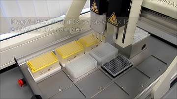 MagSi-DNA cleanFIX - PCR cleanup and Dye Removal / Sanger sequence reaction cleanup PRIMADIAG MPS-46