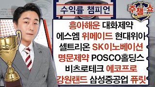 흥아해운,대화제약,위메이드,현대위아,셀트리온,SK이노베이션,에스엠,풍산,명문제약,비츠로테크,POSCO홀딩스,에코프로,강원랜드_주식 챔피언 쇼 무엇이든 물어보세요 (20240524)