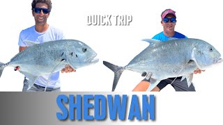 Shedwan Quick Trip (GT Fishing) - رحلة صيد سريعة لجزيرة شدوان