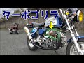 【視聴者さん】中華エンジン125をターボ化したゴリラを紹介