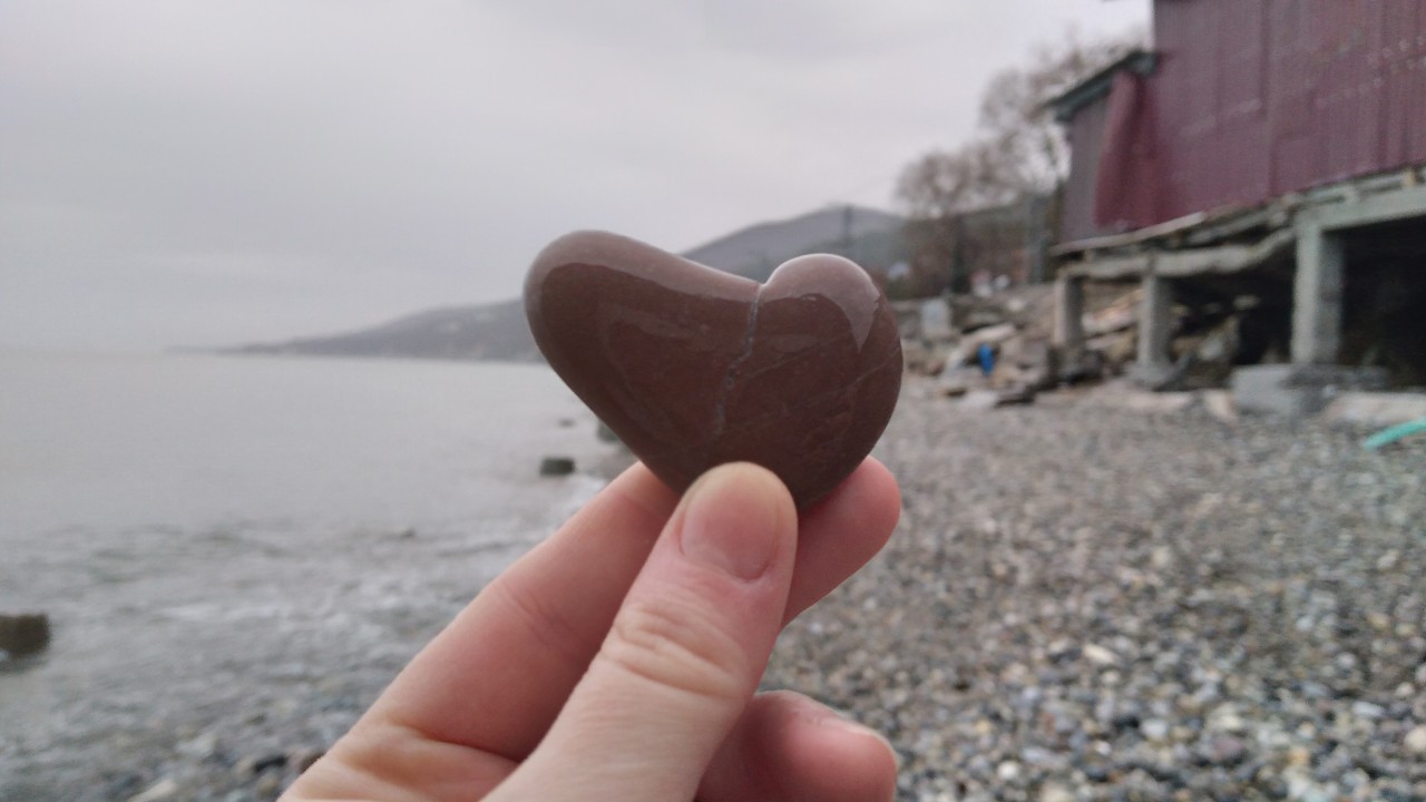 На море лазаревское дельфин пляж