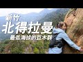 【登山】海拔最低的檜木群又原始巨木步道在北得拉曼｜一輪的運動日常 #新竹  #山