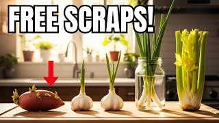 видео: 10 САМЫХ ПРОСТЫХ КУЛЬТУР, КОТОРЫЕ МОЖНО ВЫРАСТИТЬ АБСОЛЮТНО БЕСПЛАТНО ИЗ КУХОННЫХ ОТХОДОВ! картинка: 10 САМЫХ ПРОСТЫХ КУЛЬТУР, КОТОРЫЕ МОЖНО ВЫРАСТИТЬ АБСОЛЮТНО БЕСПЛАТНО ИЗ КУХОННЫХ ОТХОДОВ!