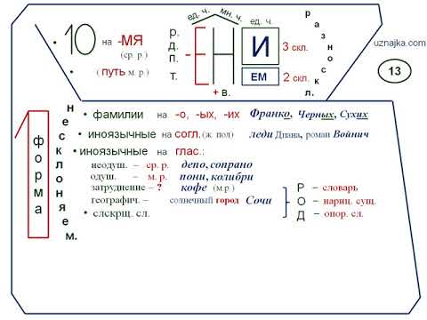 13.  Разносклоняемые , несклоняемые   имена  существительные. Существительные общего  рода