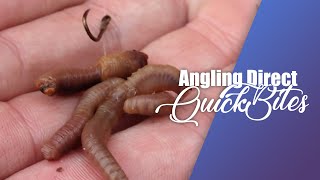 AD QuickBite - How To Tie The Worm Kebab Rig