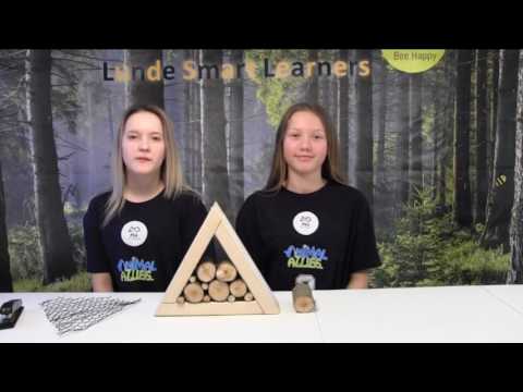 How to build a bee hotel