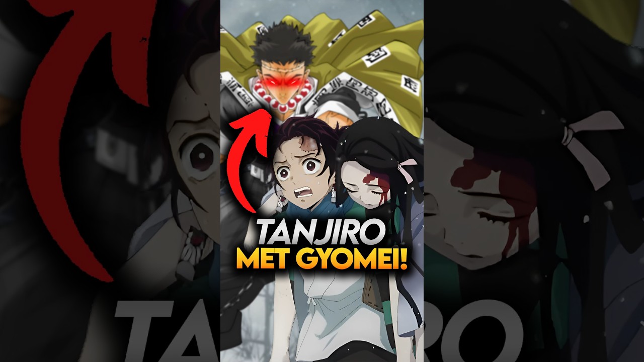 What if Tanjiro had met Gyomei in Episode 1? Demon Slayer Explained 