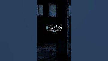 لا تنسوا إخواننا من دعائكم _ وبشر الصابرين بصوت القارئ الشيخ عبد الباسط عبد الصمد...#قرآن #quran