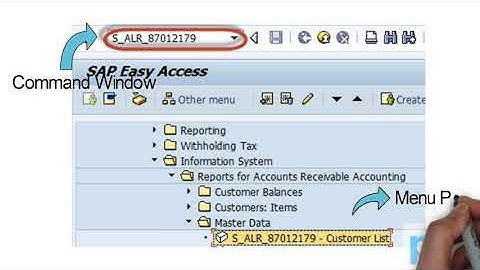 Customer Master Data List - S_ALR_87012179 FREE SAP Training