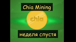 Chia mining &quot;неделя спустя&quot;