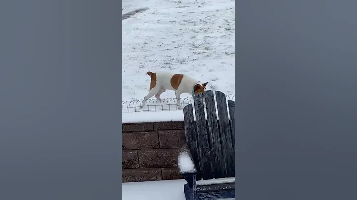 Spencer in the PA snow