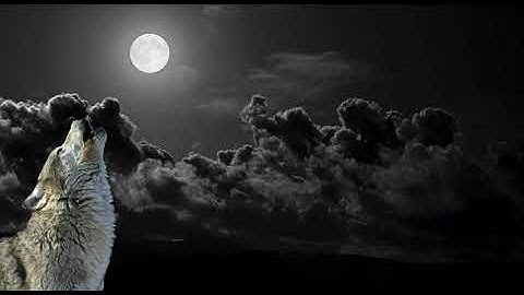 Add 1 remote repo vào local repository