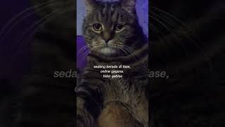 Download Lagu story wa 30 detik | sedang berada di fase MP3