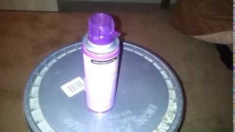 Flea bombing your house: Things not to do