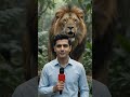 🦁 Jungle Mein Sher Aa Gaya Magar Reporter Nahi Bhaga! 😂 | AI Viral Video
