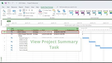 Understanding the Project Summary Task in MS Project 2025