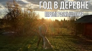ГОД В ДЕРЕВНЕ.Первые размышления.