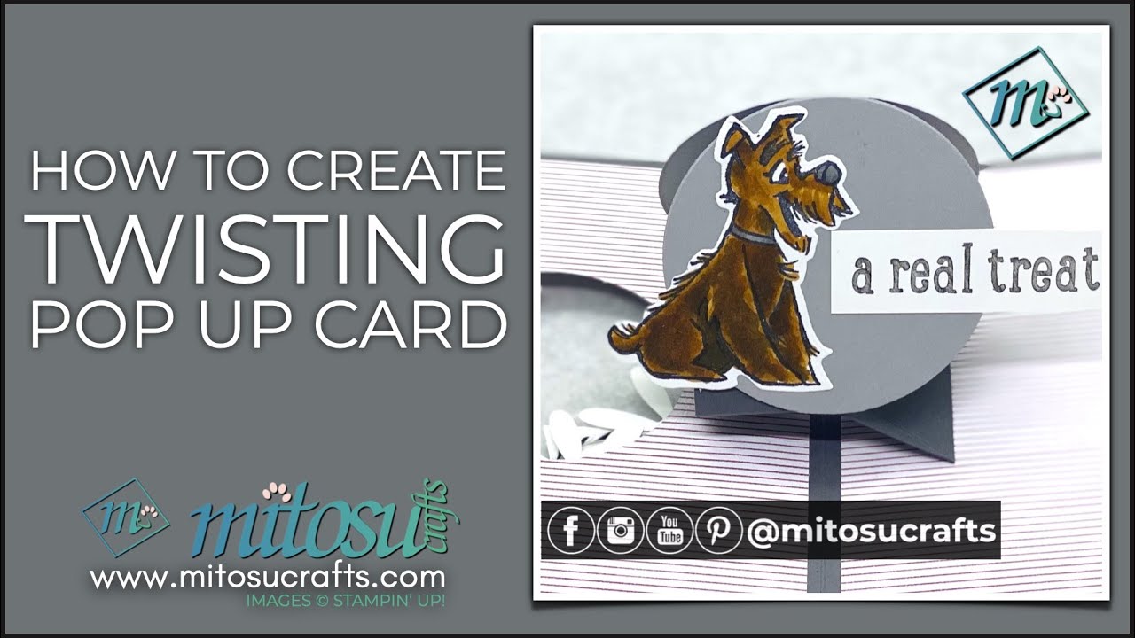 How To Make A Peekaboo Twisting Pop Up Card With Pampered Pets by Stampin' Up!