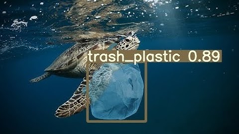 A Novel Approach Towards Detecting Marine Plastic Using Deep Visual Models