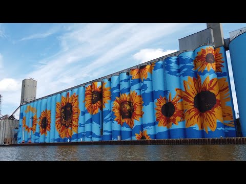 Video: Nástenná nástěnná nástěnka odhalená v reflexii rieky
