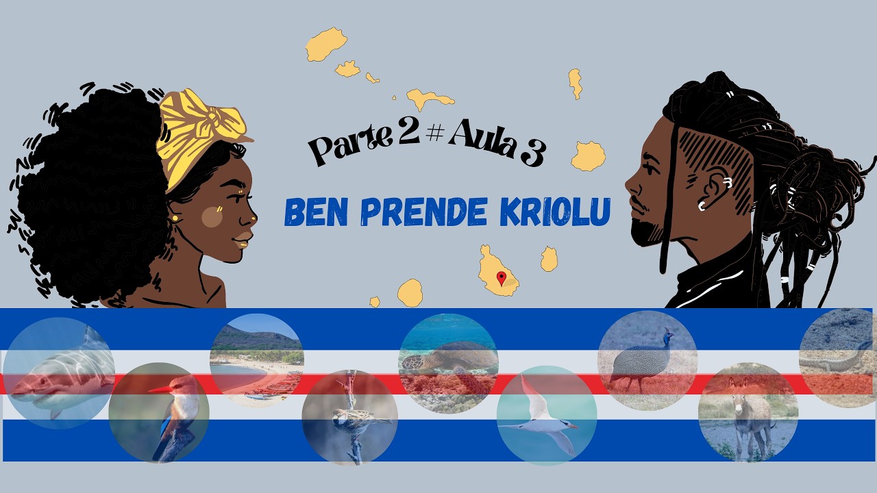 Parte 2 - Aula # 3 - Adjectivos Relacionais | Significado e Frases Simples