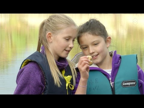 Video: Hvordan Håndtere Snegler Og Redde Høsten
