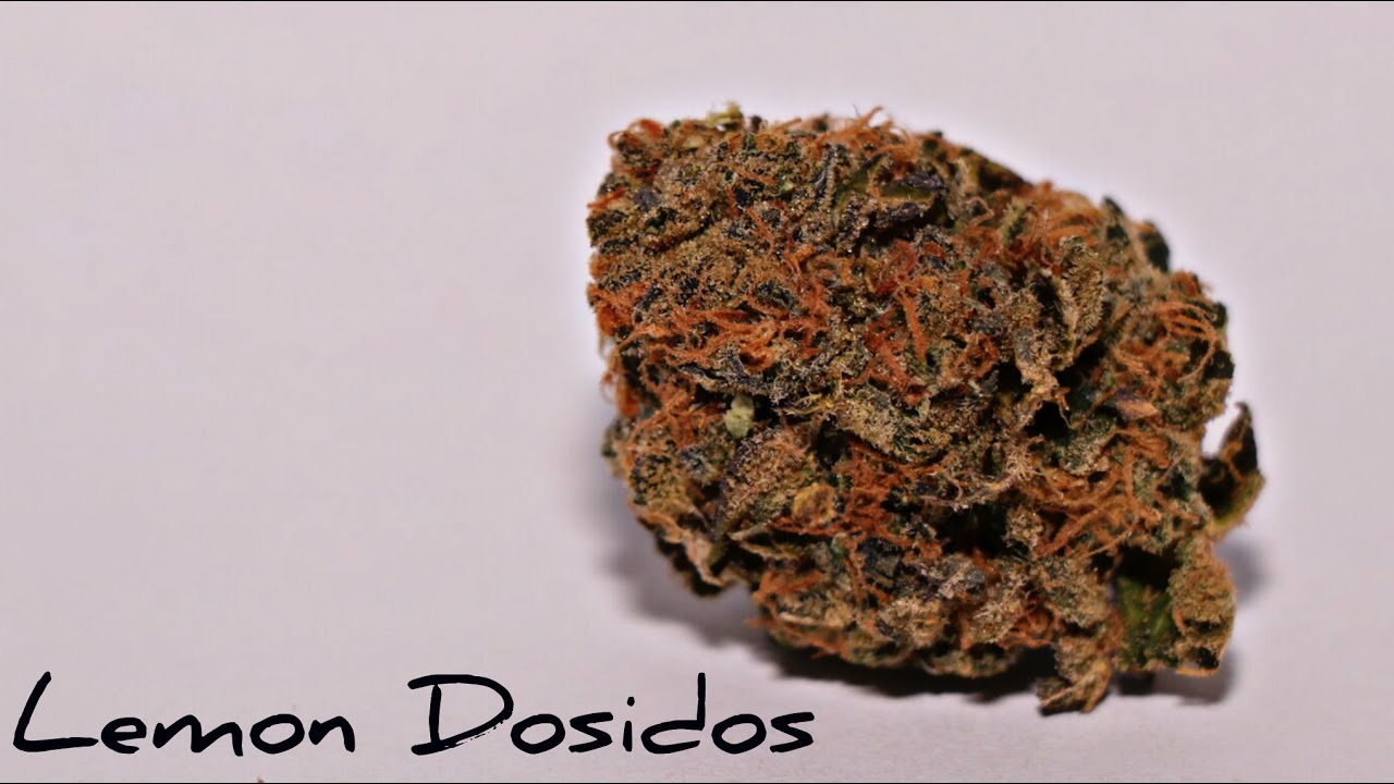 Buckeye Relief - Lemon Dosidos (Medical Marijuana Review)